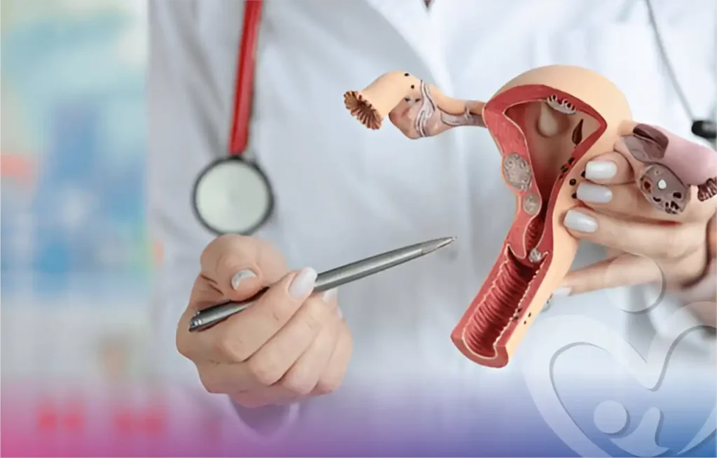 doctor explaining female reproductive system model during urogynecology consultation
