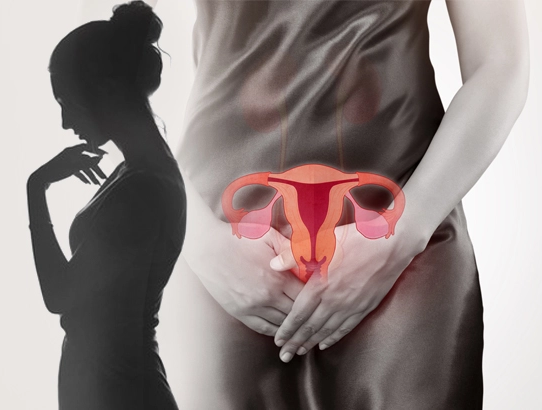 Illustration showing female reproductive system and cervical cancer awareness