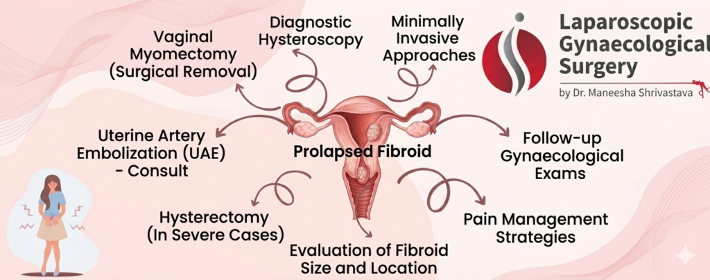 prolapsed fibroid treatment options including myomectomy hysteroscopy and hysterectomy diagram