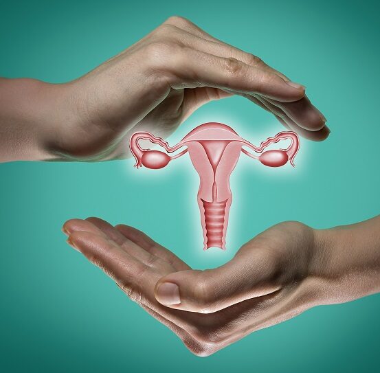 gynecological cancer treatment concept showing uterus protected by hands